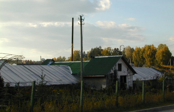 Nuotrauka