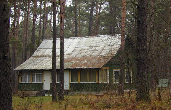 Nuotrauka