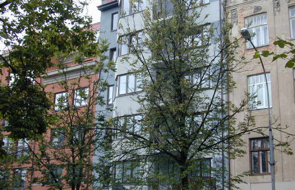 Nuotrauka