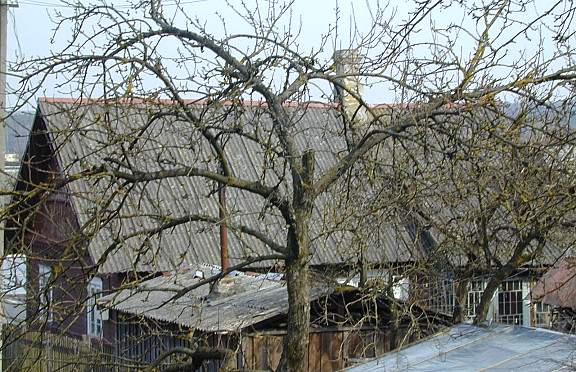Nuotrauka