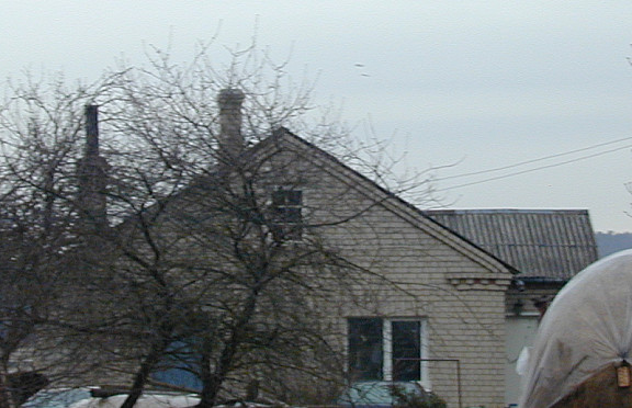 Nuotrauka