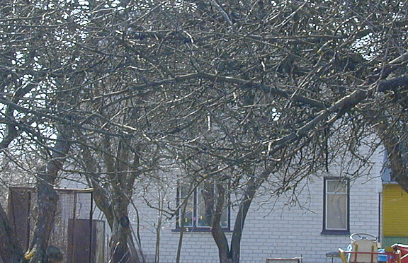 Nuotrauka
