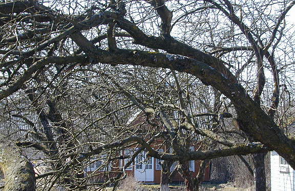 Nuotrauka