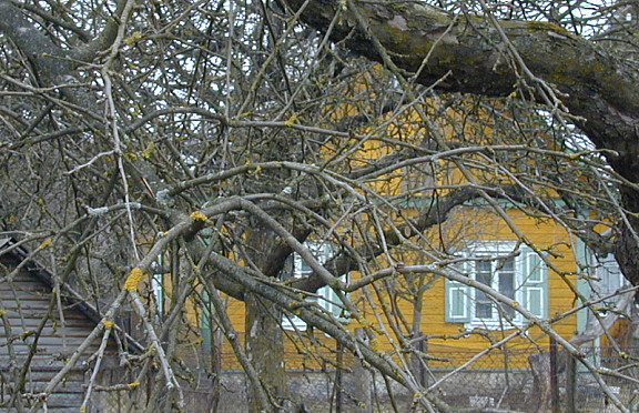 Nuotrauka