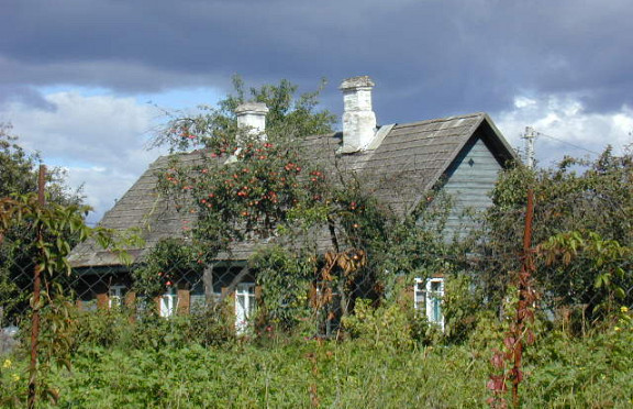 Nuotrauka