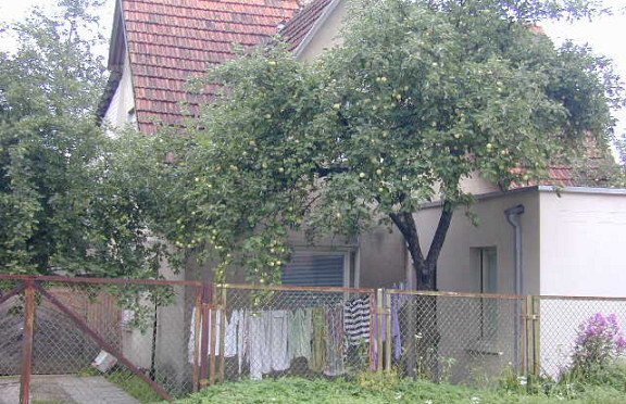 Nuotrauka